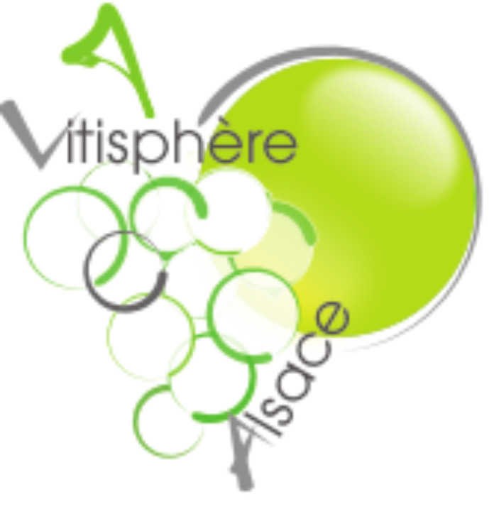 Logo Vitisphére Alsace