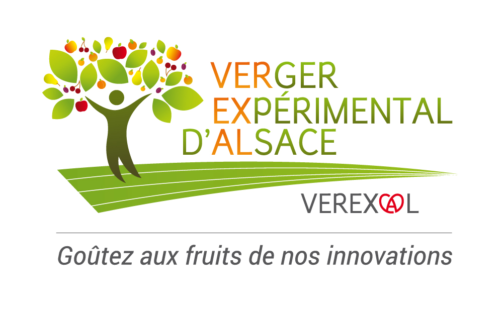 Logo Association de verger expérimental d'Alsace (VEREXAL)