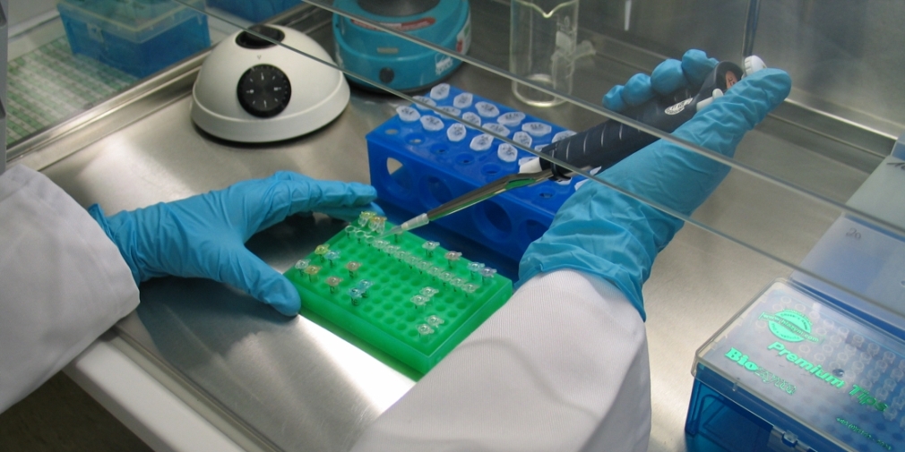 Molekularbiologische Artenbestimmung Molekularbiologische Artenbestimmung