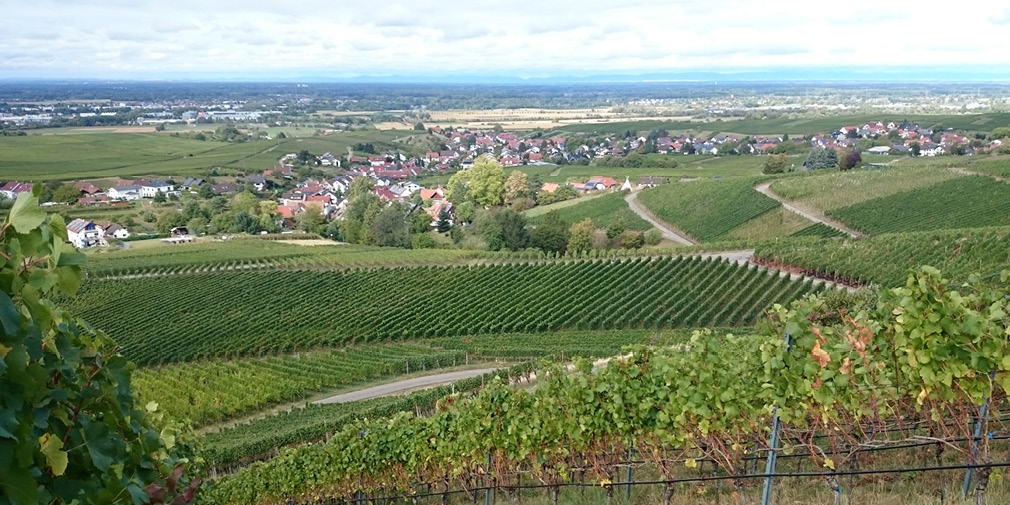 Blick über die Rheinebene Blick über die Rheinebene