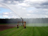 Infodienst Ltz Augustenberg Bewasserung