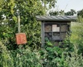 Insektennisthilfe an Feldgehölz