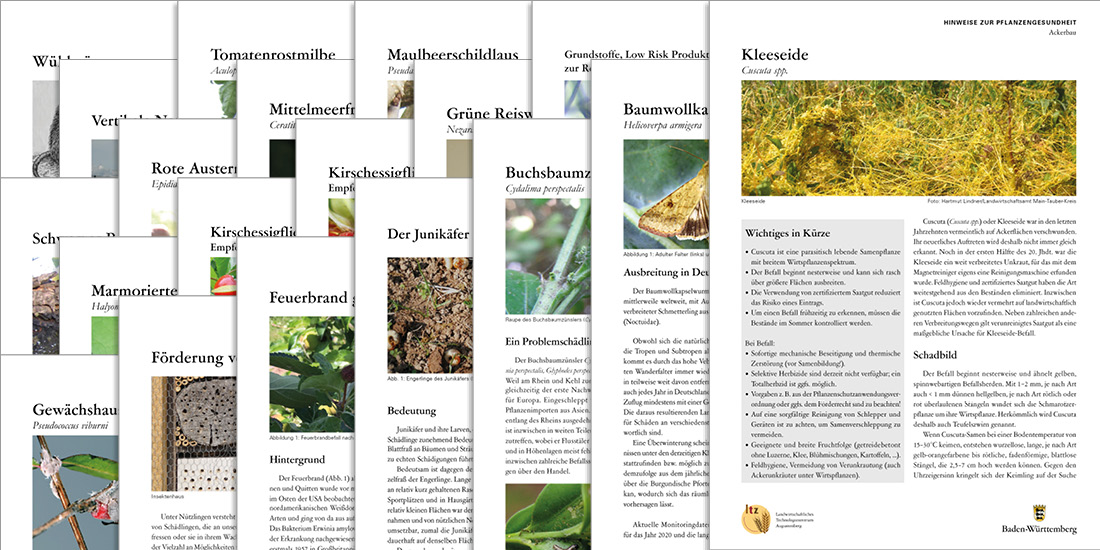 Broschüren der Schriftenreihe Hinweise zur Pflanzengesundheit