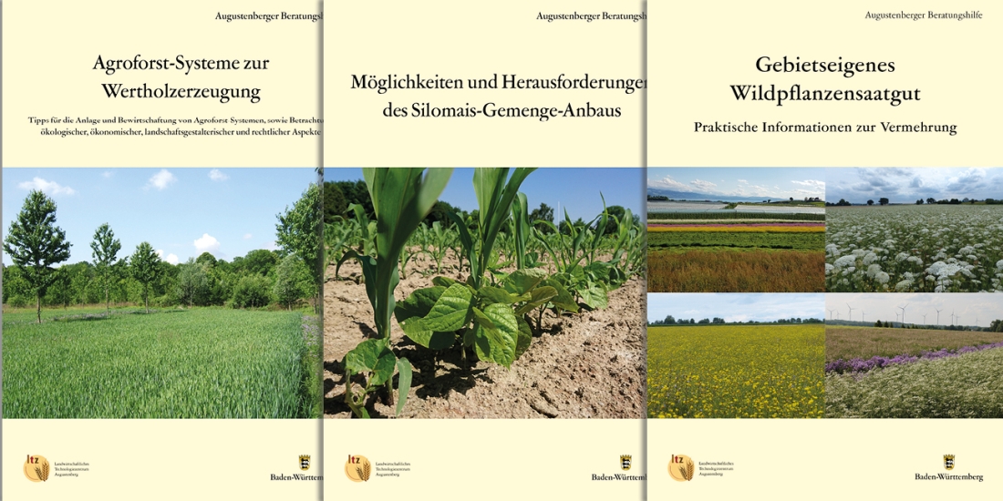 Broschüren der Schriftenreihe Augustenberger Beratungshilfe