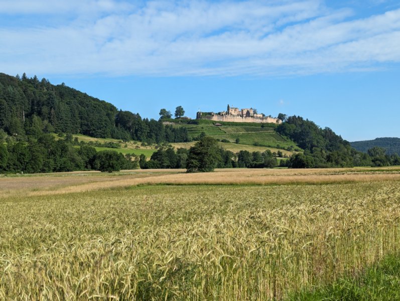 Hochburg im Hintergrund Dinkel