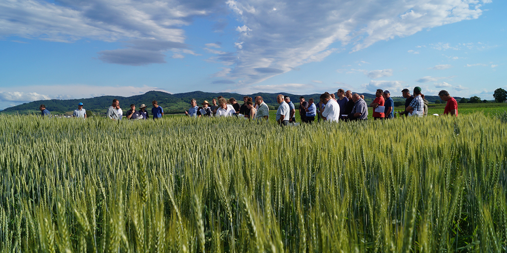 Feldtag auf dem ökologischen Versuchsfeld