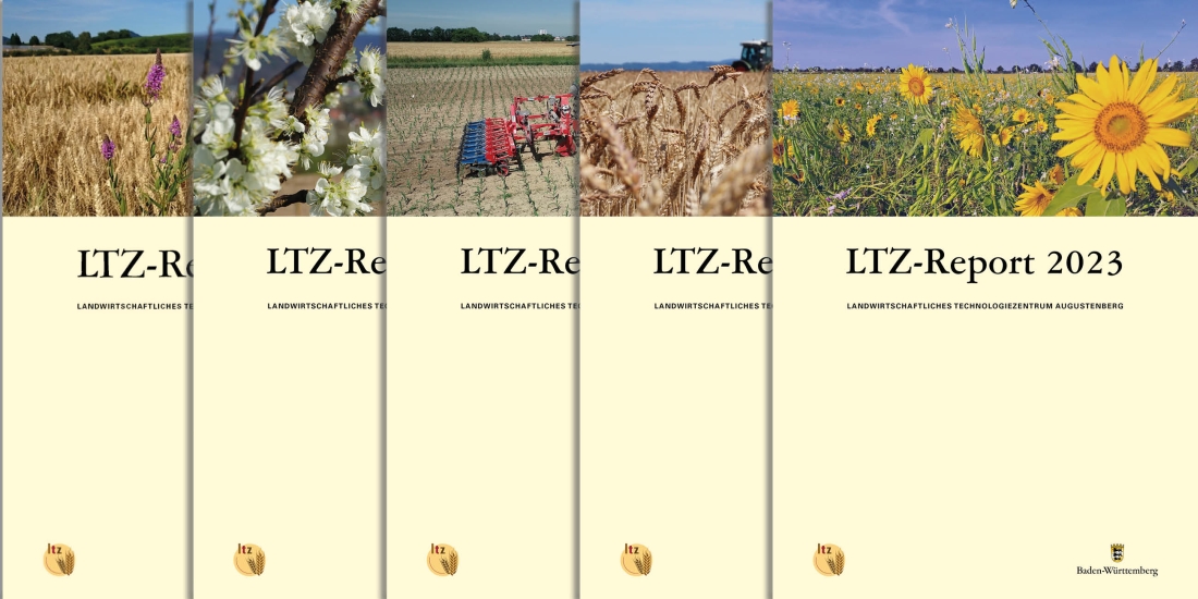 Broschüren der Schriftenreihe LTZ-Report