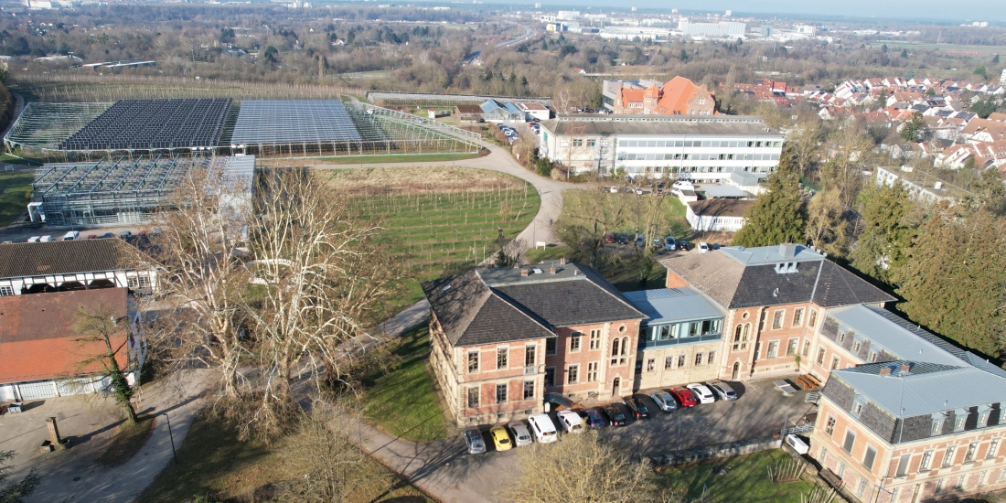 Hauptsitz Augustenberg mit Agri-Photovoltaik-Anlage im Hintergrund (Foto: Constanze Mesca/LTZ)