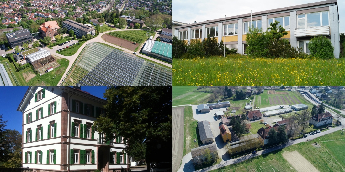 Die vier Standorte Hauptsitz Karlsruhe (links oben), Donaueschingen (rechts oben), Emmendingen-Hochburg (links unten) und Rheinstetten-Forchheim (rechts unten)