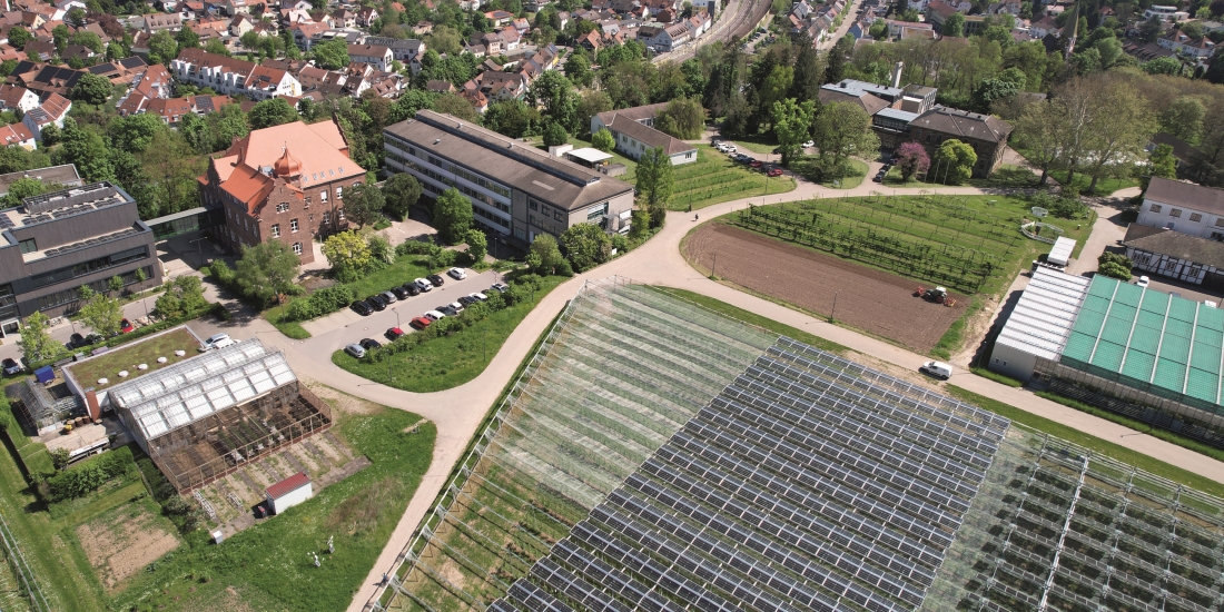 Hauptsitz Augustenberg mit Agri-Photovoltaik-Anlage im Vordergrund (Foto: Constanze Mesca/LTZ)