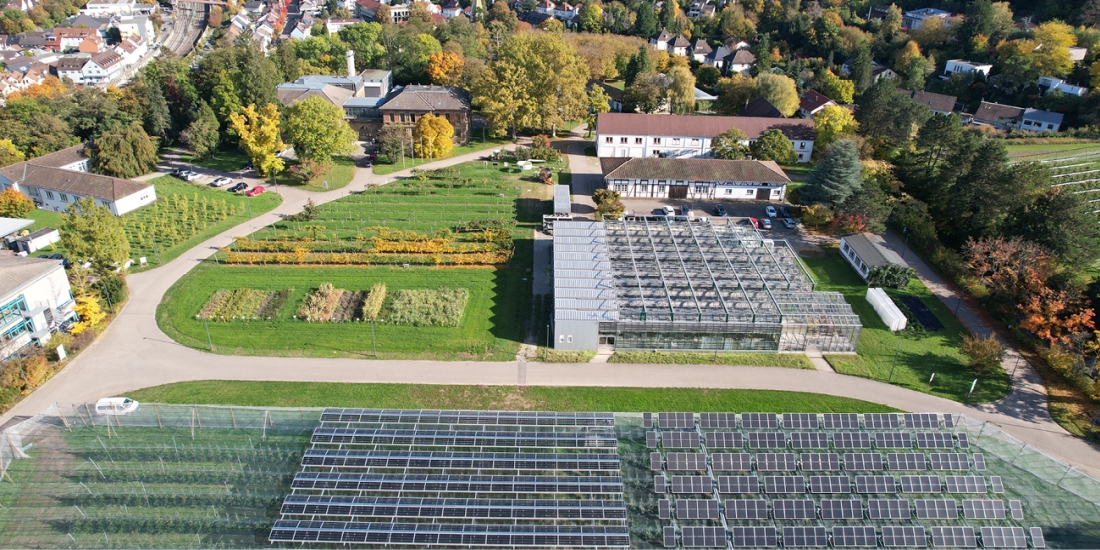 Hauptsitz Augustenberg mit Agri-Photovoltaik-Anlage im Vordergrund (Foto: Constanze Mesca/LTZ)
