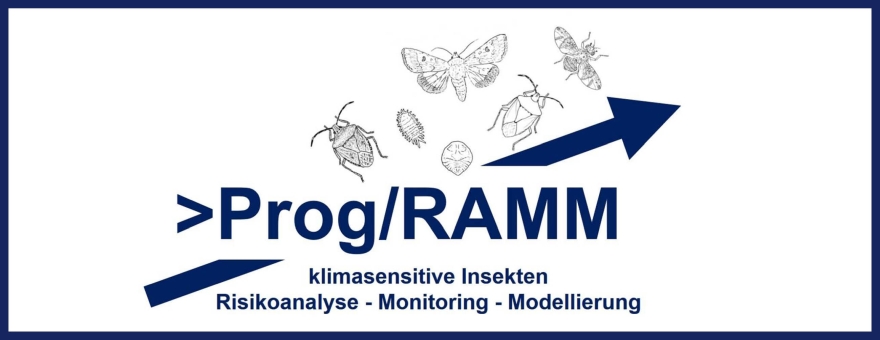 Logo Projekt Prog/RAMM