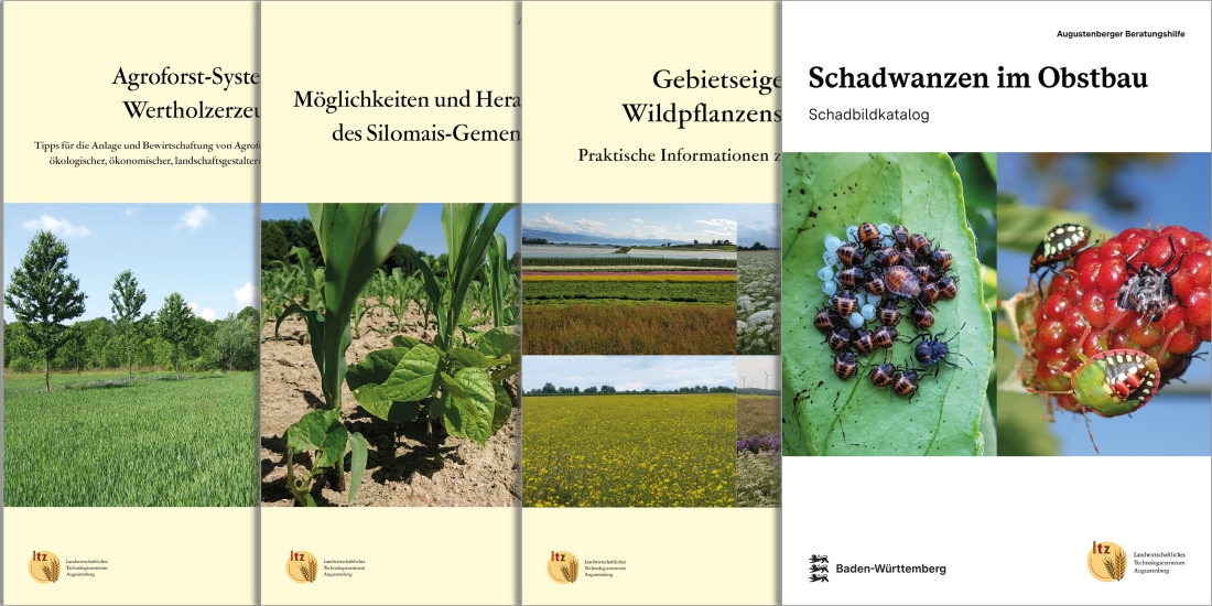 Broschüren der Schriftenreihe Augustenberger Beratungshilfe