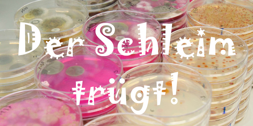 Keimgehaltsbetimmung von Bakterien und Pilzen (Foto: Dr. Wolfgang Wagner/LTZ)