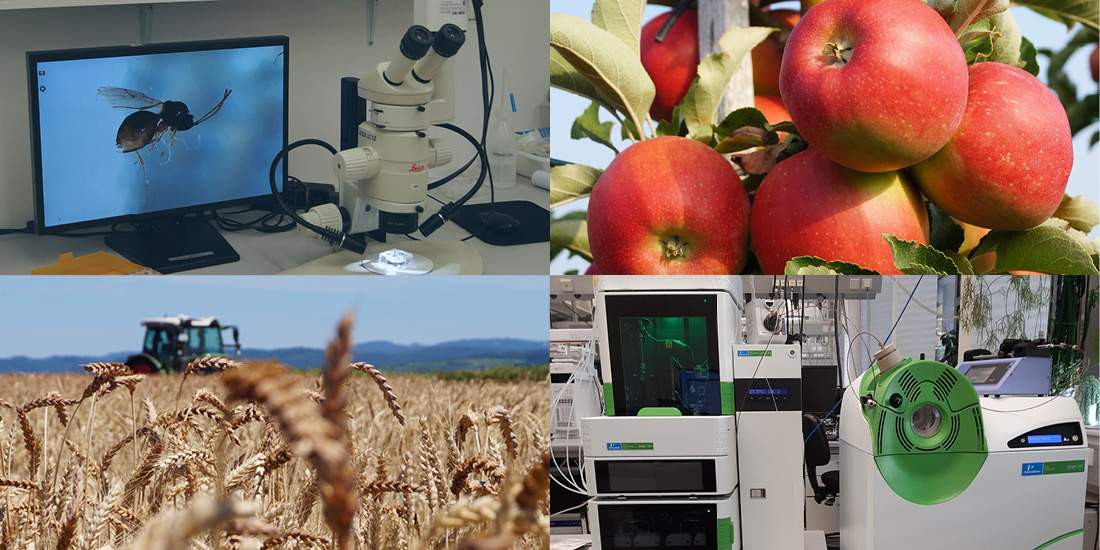 Mikroskopie, Obstbau, Getreide (Fotos: Jörg Jenrich/LTZ), Analysegerät (Foto: Dr. Moritz Bauer/LTZ)