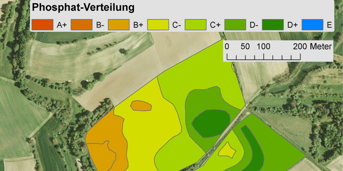 Verteilung der Boden-P-Gehalte auf zwei Schlägen
